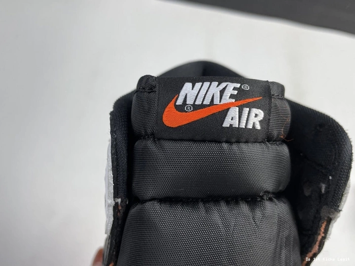 ELECTRO RETRO 555088-180 HIGH 1 ORANGE JORDAN 0423